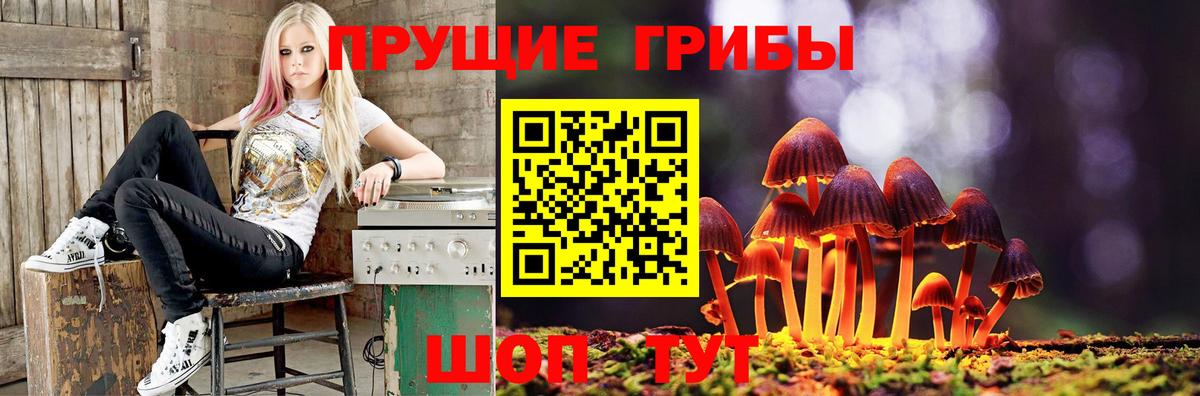 Галлюциногенные грибы ЛСД Тында
